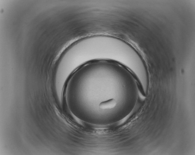 X0000087590060200705041519