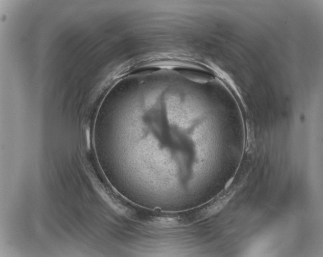 X0000087590061200705041519