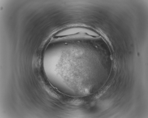 X0000087590063200705041519