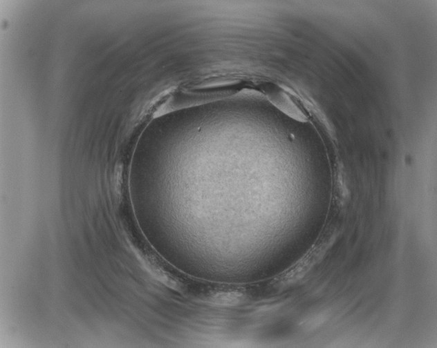 X0000087590066200705041519