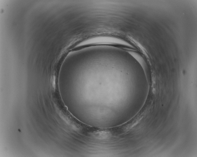 X0000087590067200705041519