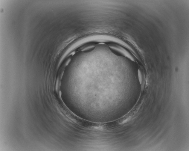 X0000087590068200705041519