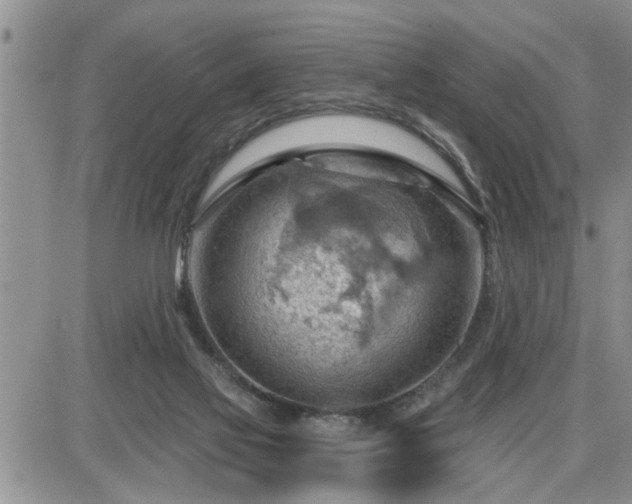 X0000087590069200705041519