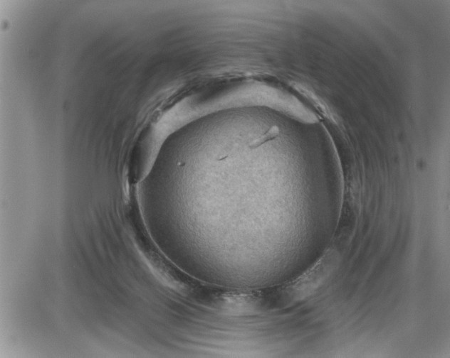 X0000087590070200705041519