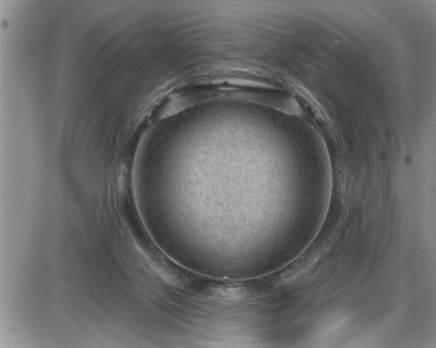 X0000087590071200705041519