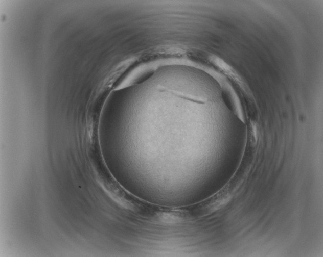 X0000087590072200705041519