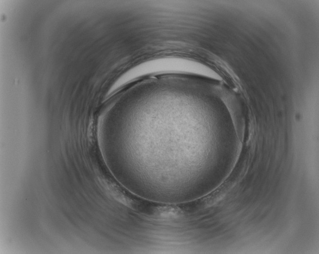 X0000087590073200705041519