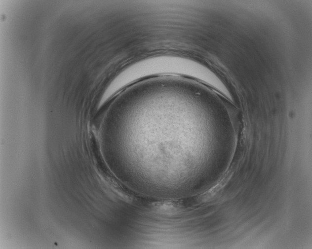 X0000087590074200705041519