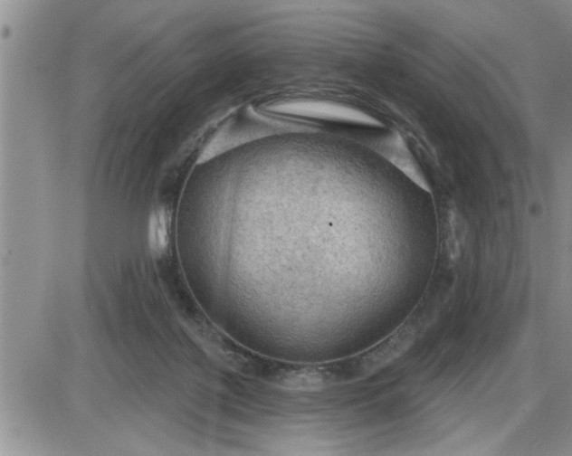 X0000087590075200705041519