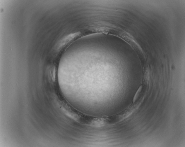 X0000087590076200705041519