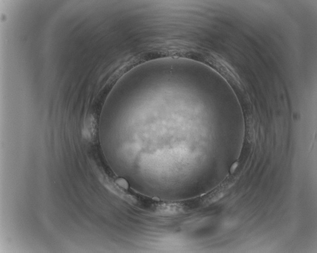 X0000087590077200705041519