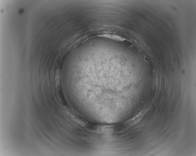 X0000087590078200705041519