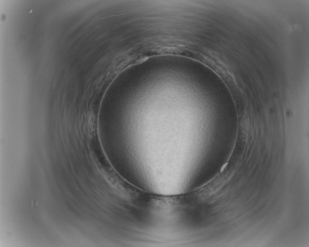 X0000087590079200705041519