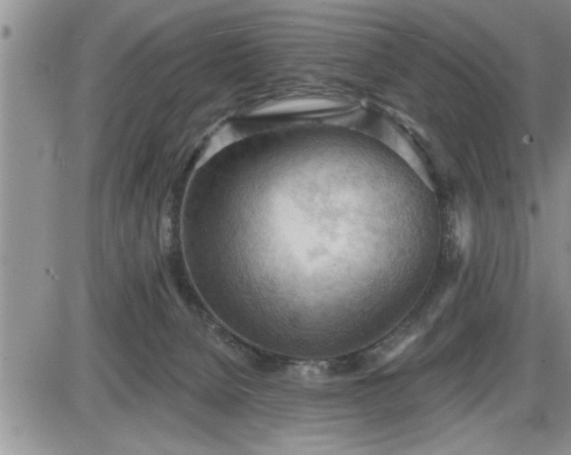 X0000087590080200705041519