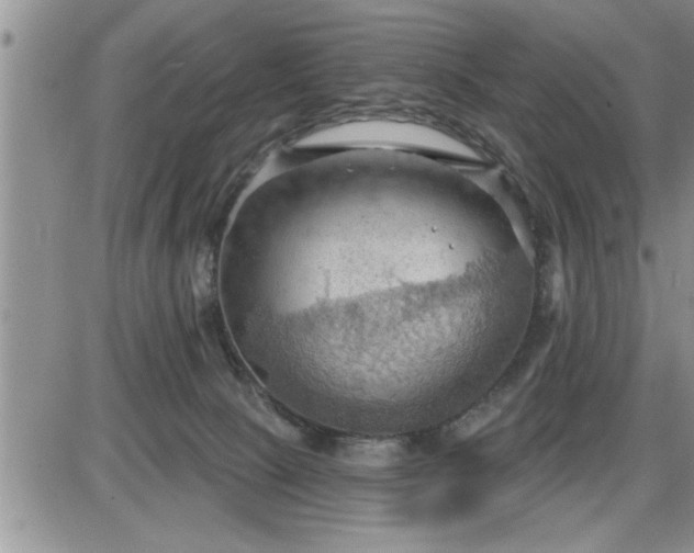 X0000087590081200705041519