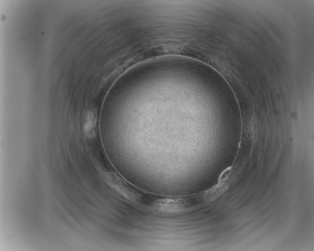 X0000087590082200705041520