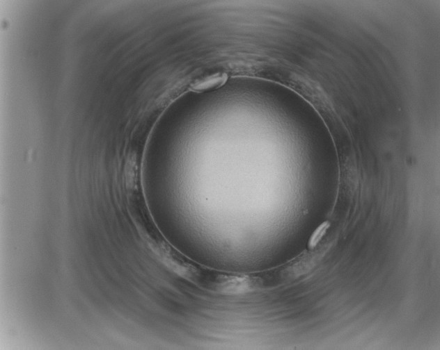 X0000087590083200705041520