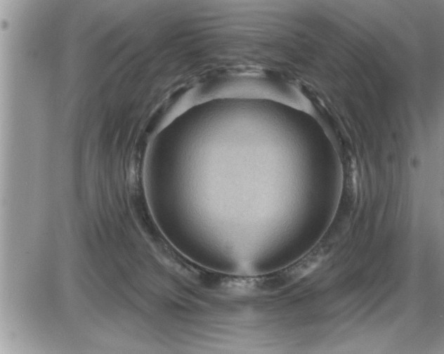 X0000087590084200705041520