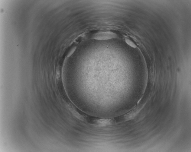 X0000087590085200705041520