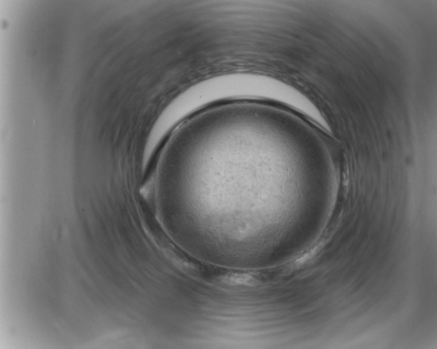 X0000087590086200705041520