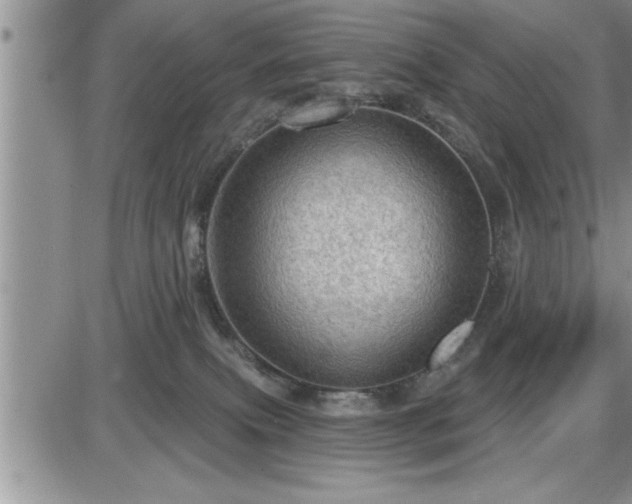 X0000087590087200705041520