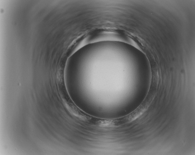 X0000087590088200705041520