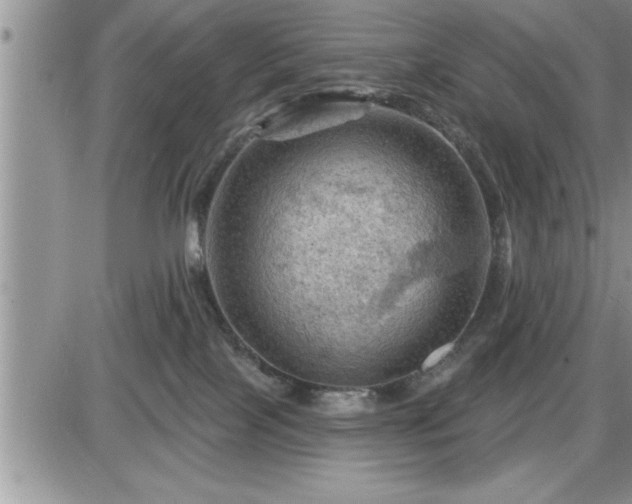 X0000087590089200705041520