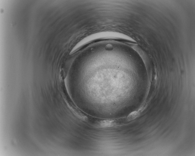 X0000087590090200705041520