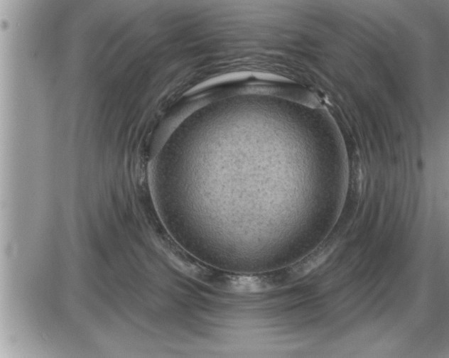 X0000087590091200705041520