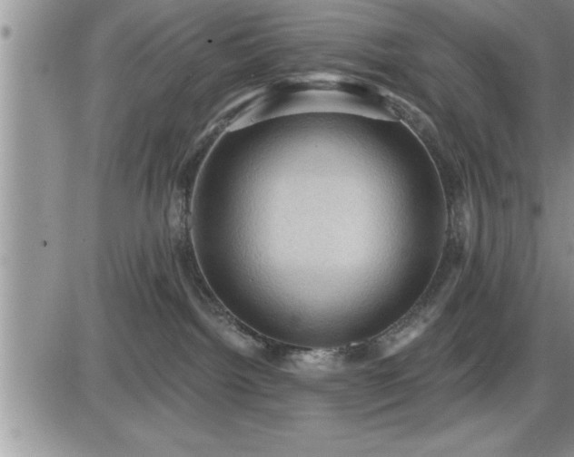 X0000087590092200705041520