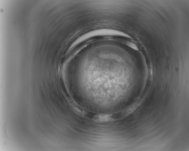 X0000087590093200705041520