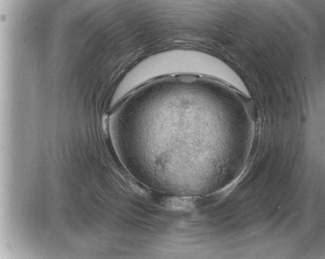 X0000087590094200705041520