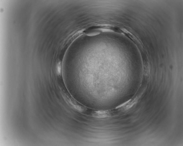 X0000087590095200705041520