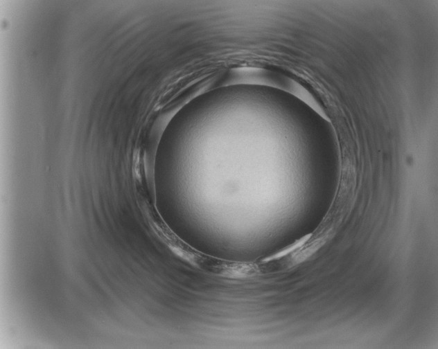 X0000087590096200705041520