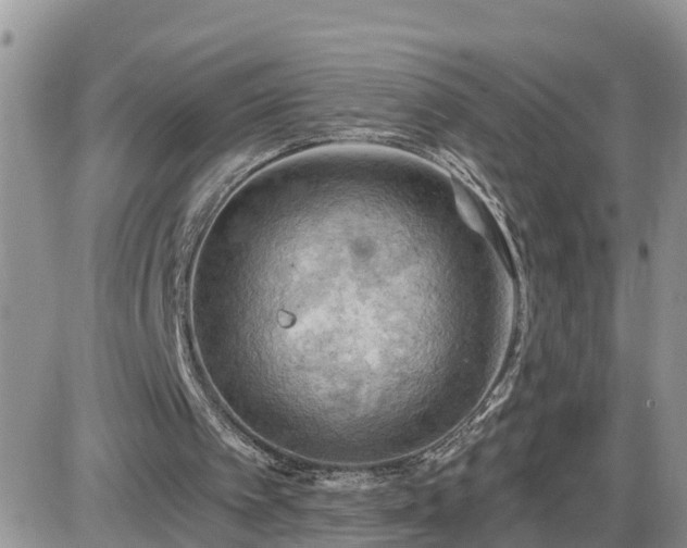 X0000087590097200705041519