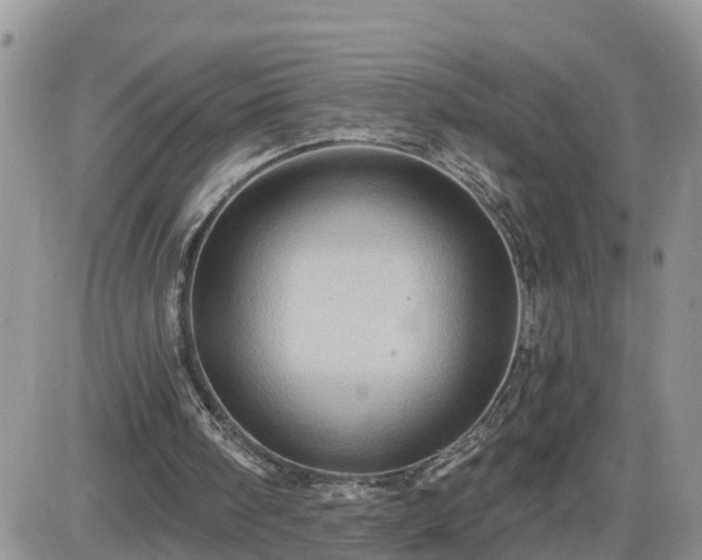 X0000087590098200705041519