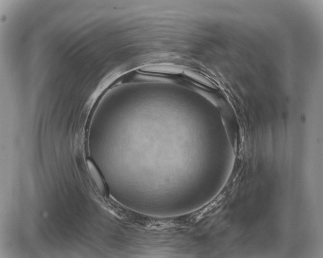 X0000087590099200705041519