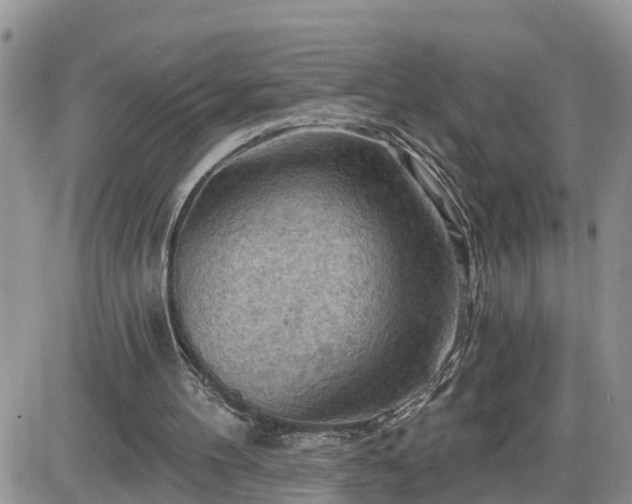 X0000087590100200705041519