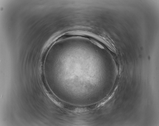 X0000087590101200705041519