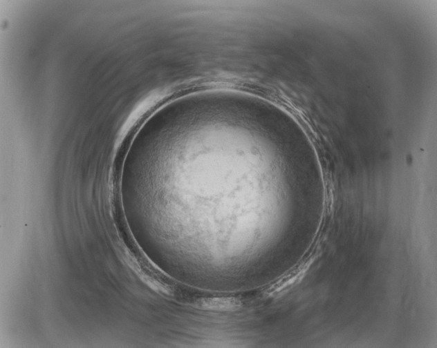 X0000087590102200705041519