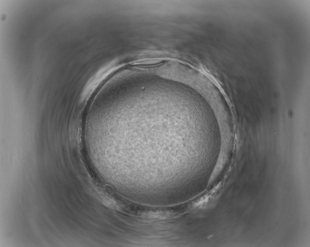 X0000087590103200705041519