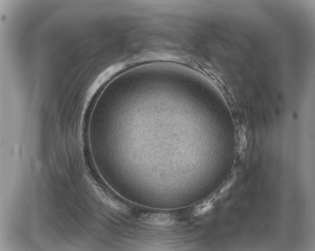 X0000087590104200705041519