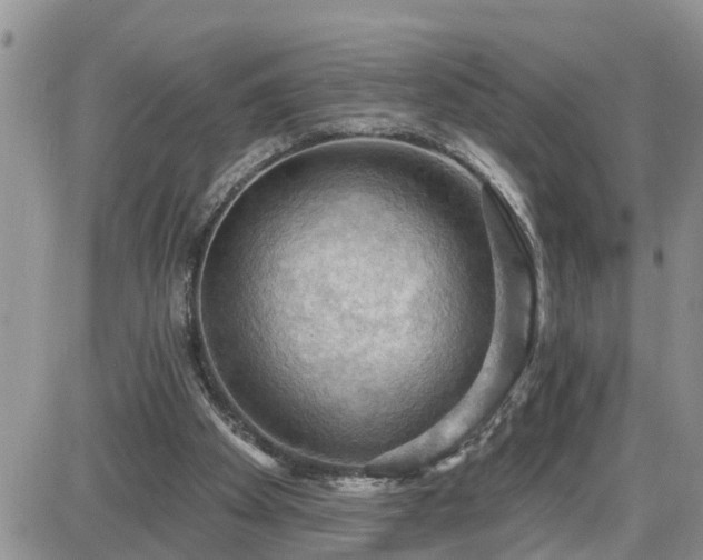 X0000087590105200705041519