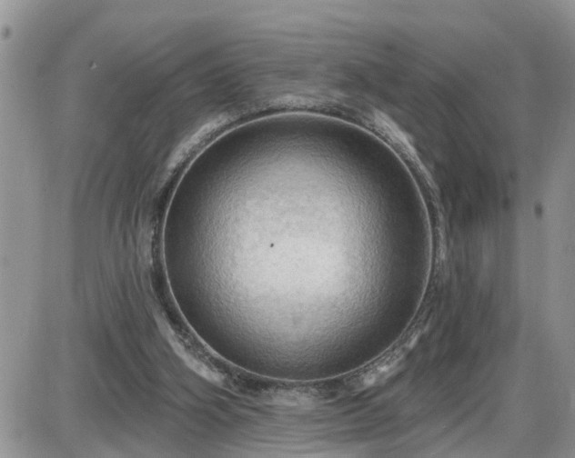 X0000087590106200705041519