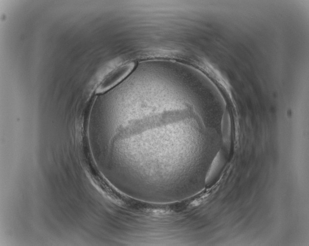 X0000087590107200705041519