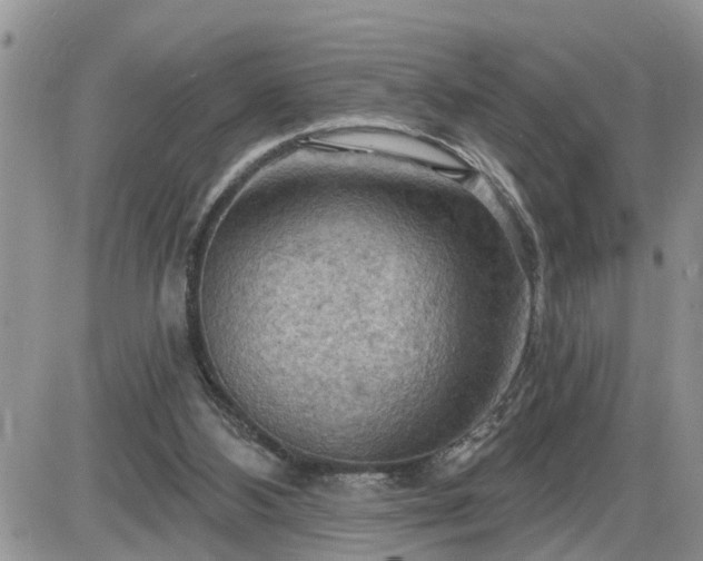 X0000087590108200705041519