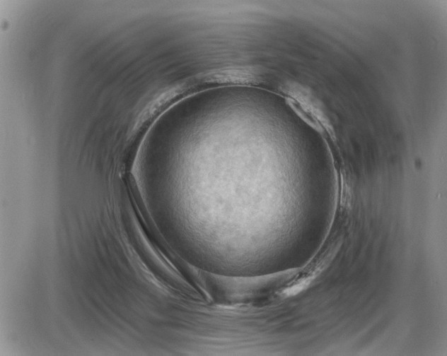 X0000087590109200705041519