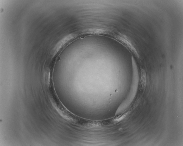 X0000087590110200705041519