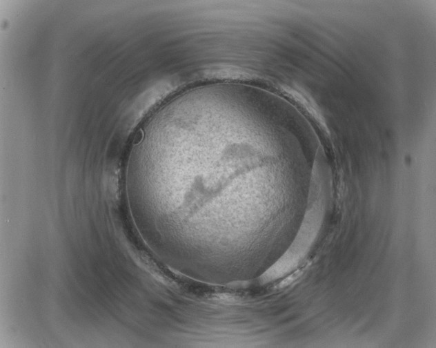 X0000087590111200705041519