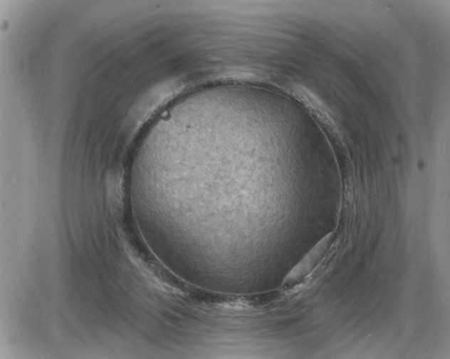 X0000087590112200705041519